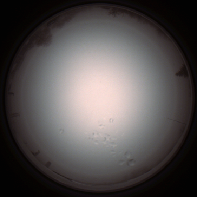 capture_202112051322_1214.Png