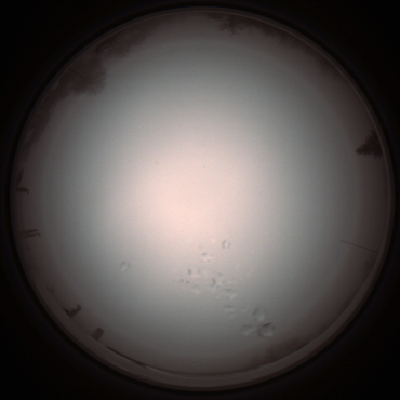 capture_202112051317_1209.Png