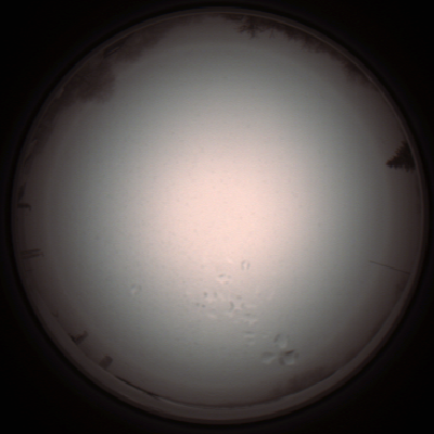 capture_202112051330_1222.Png