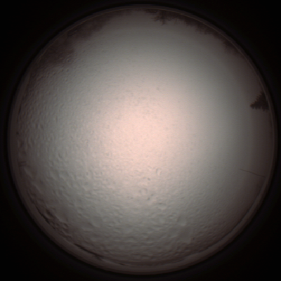capture_202112051421_1273.Png