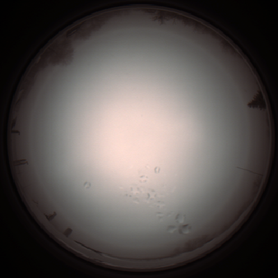 capture_202112051222_1154.Png