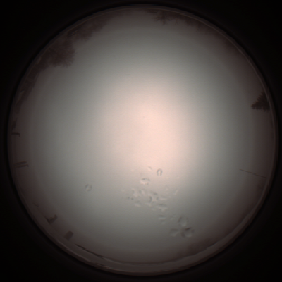 capture_202112051234_1166.Png