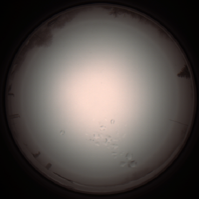 capture_202112051241_1173.Png