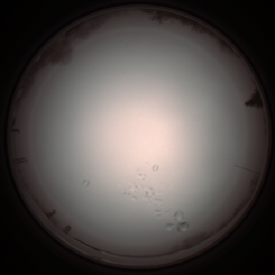 capture_202112051216_1148.Png