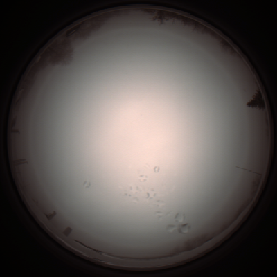 capture_202112051218_1150.Png