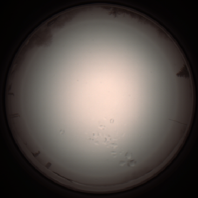 capture_202112051307_1199.Png