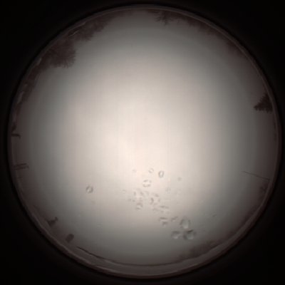 capture_202112051113_1085.Png