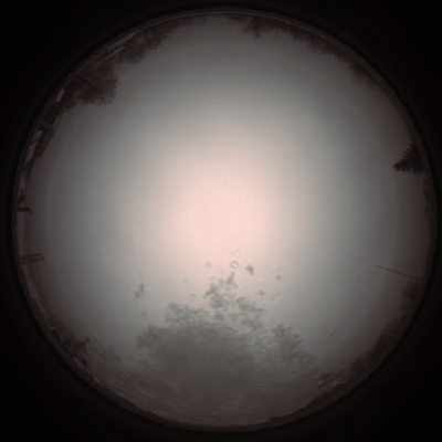 capture_202112051019_1031.Png