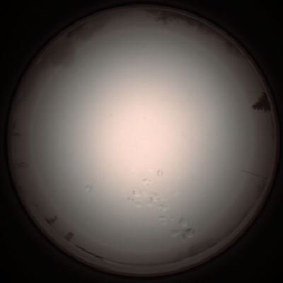 capture_202112051312_1204.Png