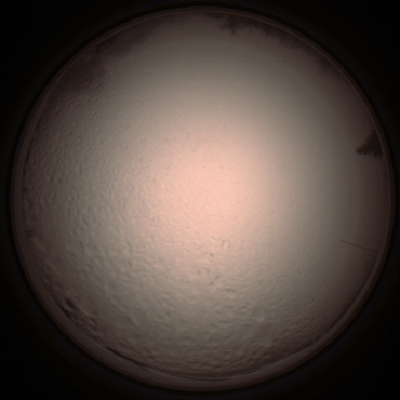 capture_202112051518_1330.Png
