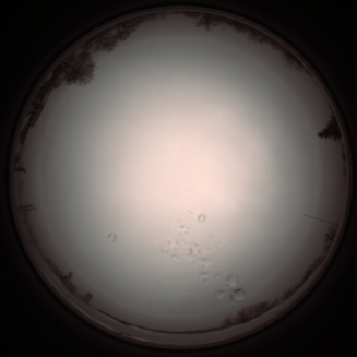 capture_202112051152_1124.Png