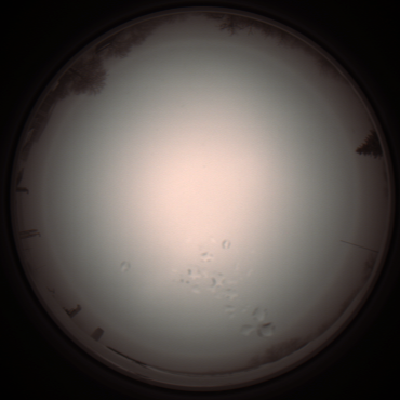 capture_202112051251_1183.Png