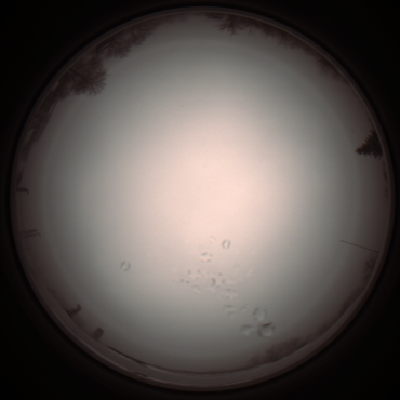capture_202112051207_1139.Png