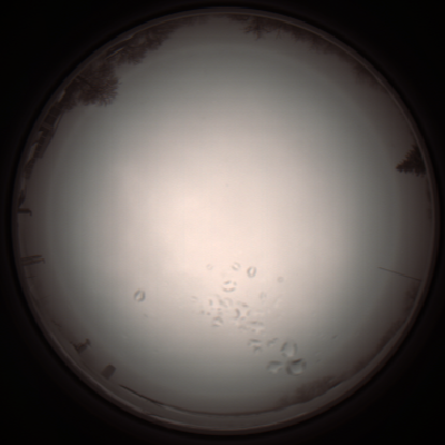 capture_202112051115_1087.Png