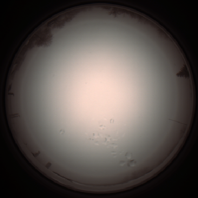 capture_202112051302_1194.Png