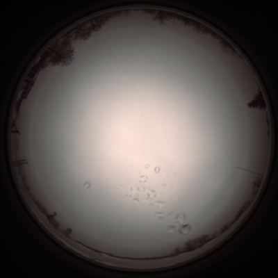 capture_202112051136_1108.Png