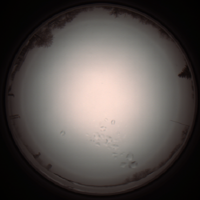 capture_202112051157_1129.Png