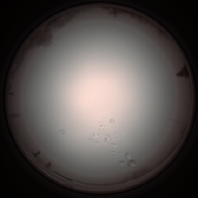 capture_202112051212_1144.Png