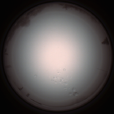 capture_202112051319_1211.Png