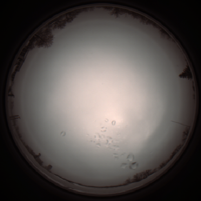 capture_202112051139_1111.Png