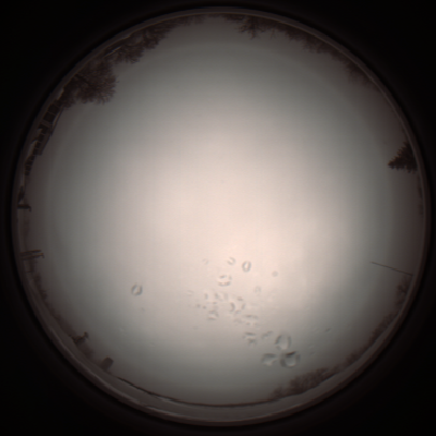 capture_202112051117_1089.Png