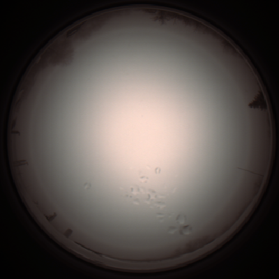 capture_202112051255_1187.Png