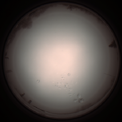 capture_202112051231_1163.Png