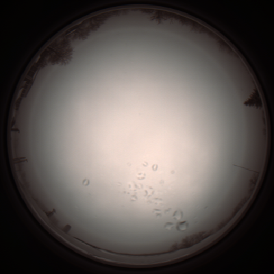 capture_202112051116_1088.Png