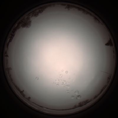capture_202112051137_1109.Png