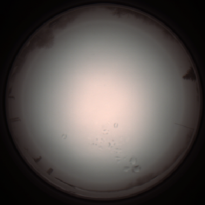 capture_202112051225_1157.Png