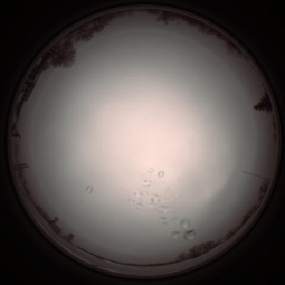 capture_202112051138_1110.Png