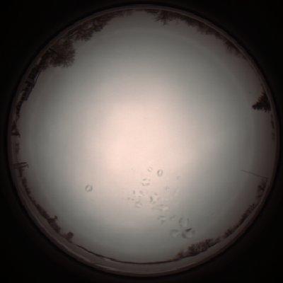capture_202112051129_1101.Png