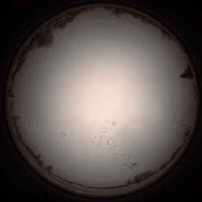capture_202112051127_1099.Png