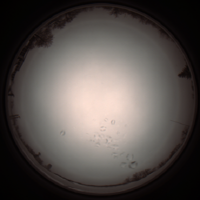 capture_202112051134_1106.Png