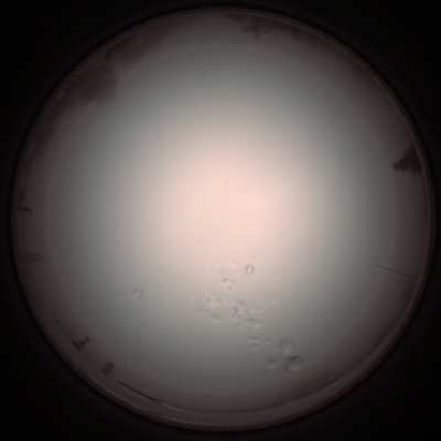 capture_202112051238_1170.Png