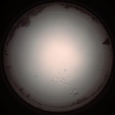 capture_202112051158_1130.Png