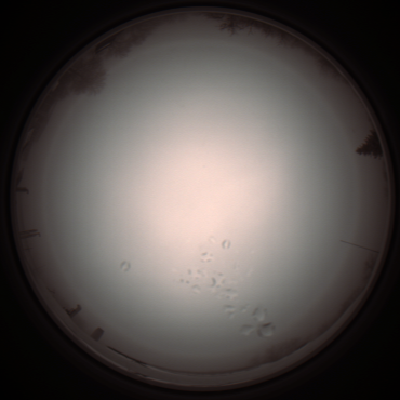 capture_202112051210_1142.Png