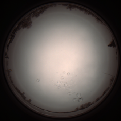 capture_202112051126_1098.Png