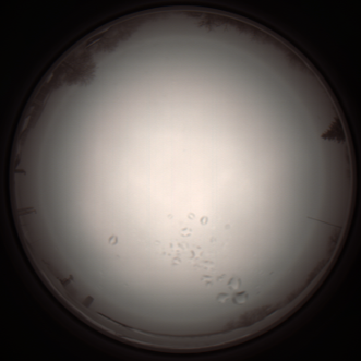 capture_202112051112_1084.Png