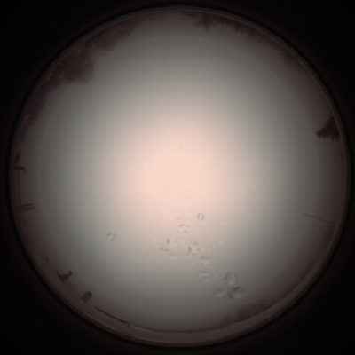 capture_202112051248_1180.Png