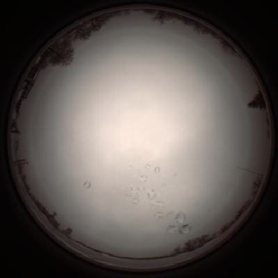 capture_202112051123_1095.Png