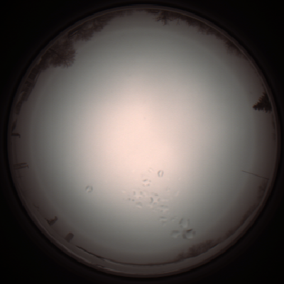 capture_202112051208_1140.Png