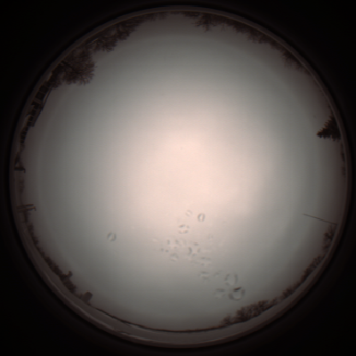 capture_202112051143_1115.Png