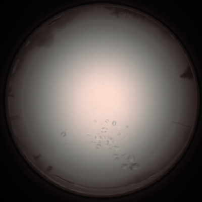 capture_202112051103_1075.Png
