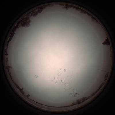 capture_202112051130_1102.Png
