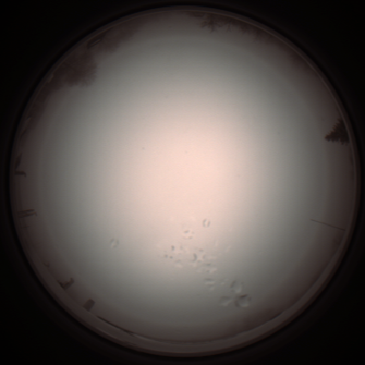 capture_202112051313_1205.Png