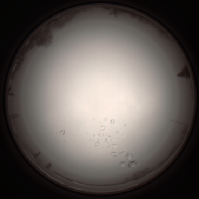 capture_202112051111_1083.Png