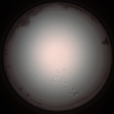 capture_202112051324_1216.Png