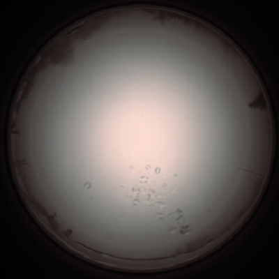 capture_202112051058_1070.Png