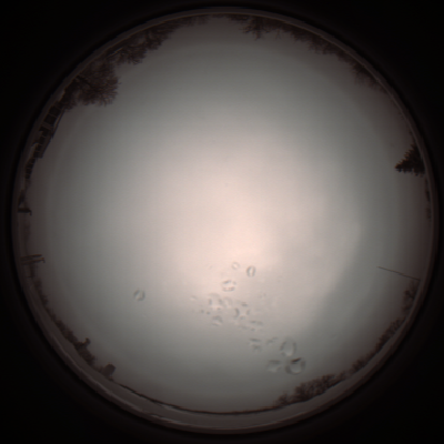 capture_202112051140_1112.Png